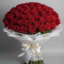 Букет 101 Красная роза Блэк Мэджик в Чепелево