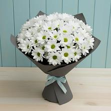 Букет цветов из:  Хризантемы #REPLACE_PRED# Чепелево