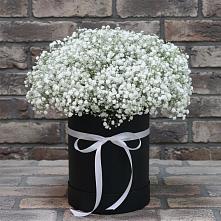 Цветочная композиция из Гипсофила в шляпной коробке в Чепелево